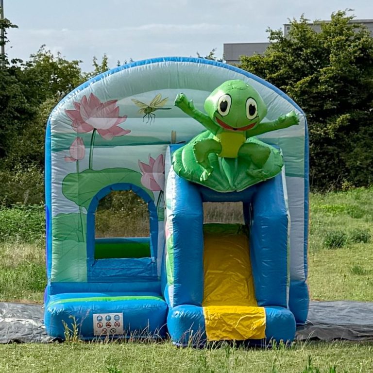 Hoppefrosch Hüpfburg mit Frosch